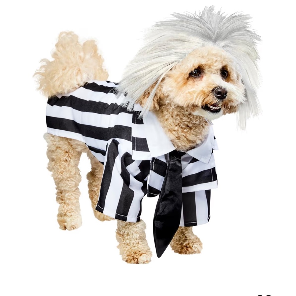 Beetlejuice Pet Costume for For Dogs or Cats by Rubies, size XL